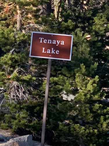 74271813_1376295695862849_4346574330243579904_n