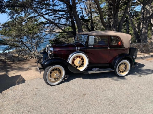 74366515_1374560172703068_8922701416779218944_n