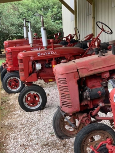 72137551 1398753836950368 4046932771447242752 n