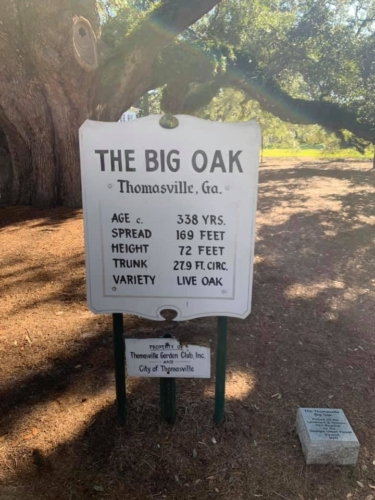 72964816 1399783306847421 5955427078839992320 n