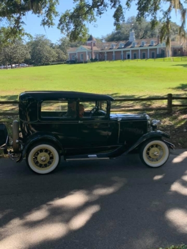 73170238 1399782560180829 6822873660743745536 n