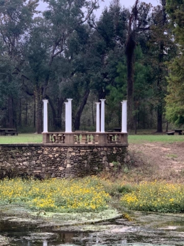 73203273 1397959073696511 6421380809403400192 n