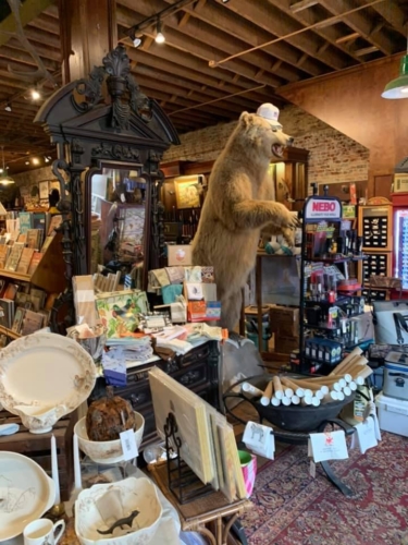 74429402 1398752753617143 5935910820461412352 n