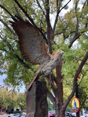 74484070 1398752866950465 919158134176481280 n