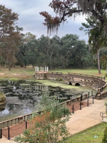 74524881 1397958987029853 9158354916417208320 n