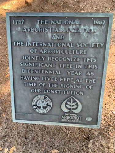 74534845 1399783283514090 421460549436440576 n