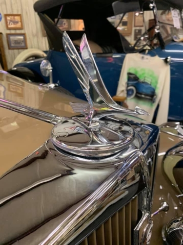 74692481 1398753050283780 1564770020314054656 n