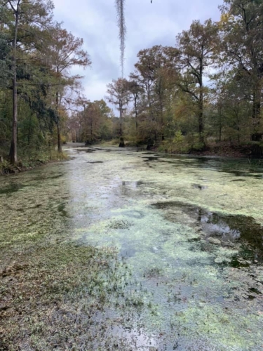 74881513 1397959100363175 4303023580905472000 n