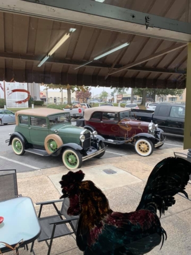 74908152 1397958800363205 5937552666199588864 n