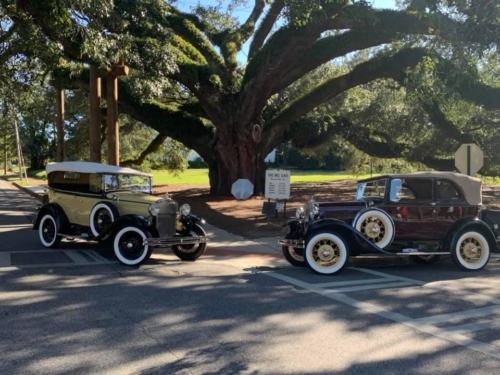 75223755 1399783320180753 7082296016203939840 n