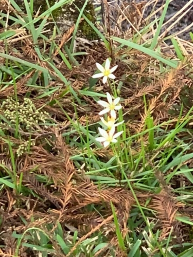 75237424 1397959123696506 3966988900194320384 n