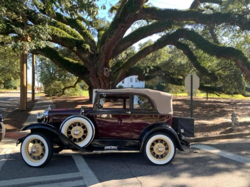 75317262 1399783330180752 8122270794437885952 n