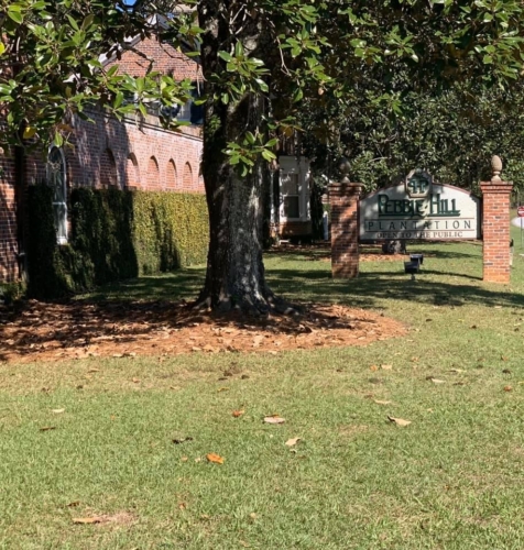 75369124 1399782396847512 250019782991020032 n